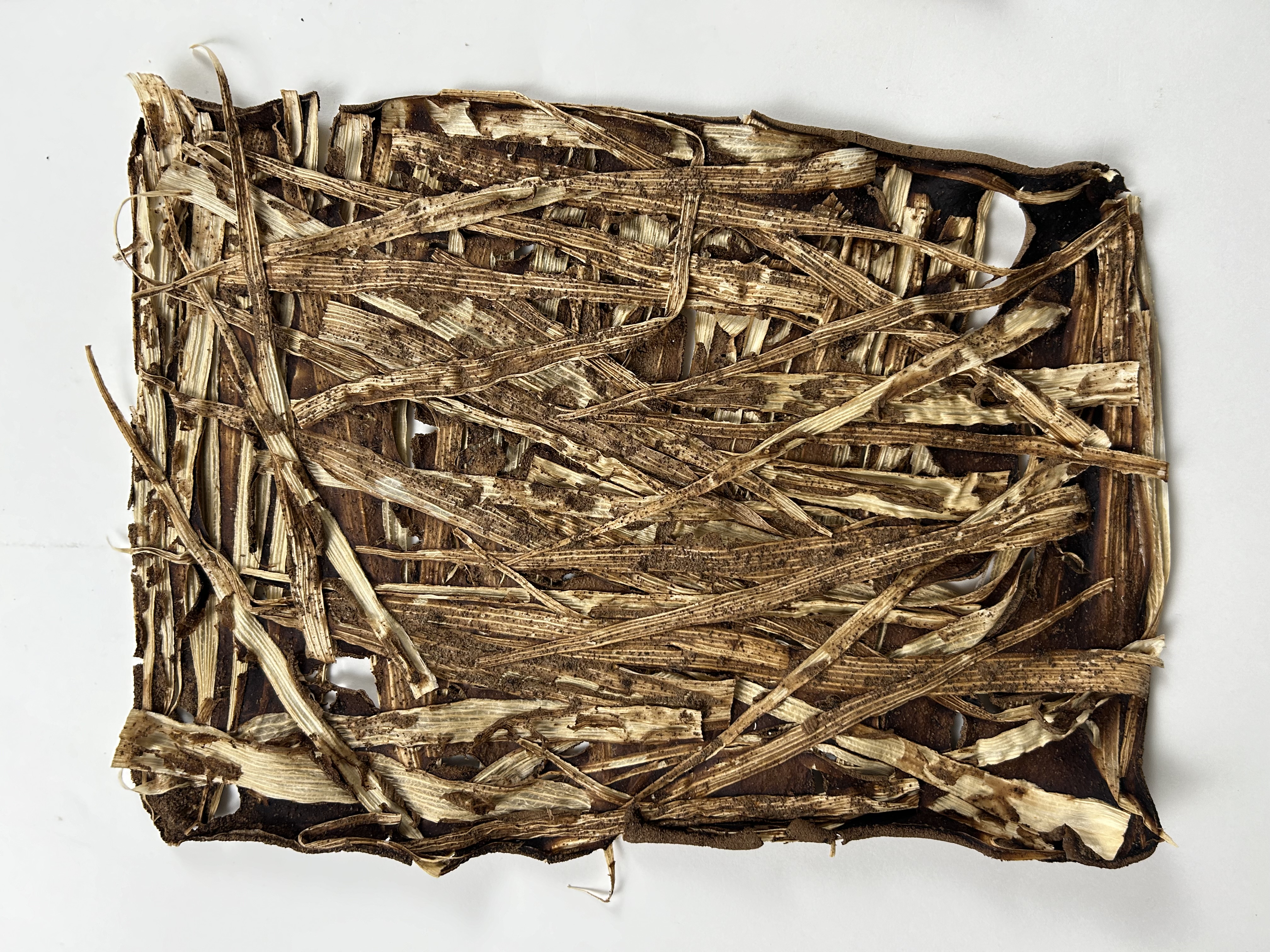 Corn husk strands and coffee sheet 